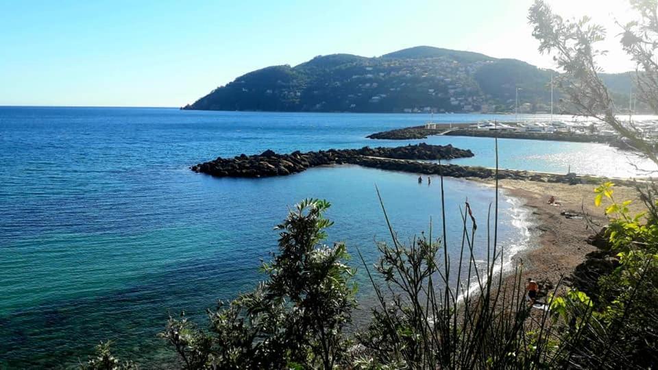 Appartement 2 Pieces Le Gorecki - Residence Du Riou De L'Argentiere A Mandelieu La Napoule, Avec Piscine, Parking Et A Proximite De Tout! Εξωτερικό φωτογραφία